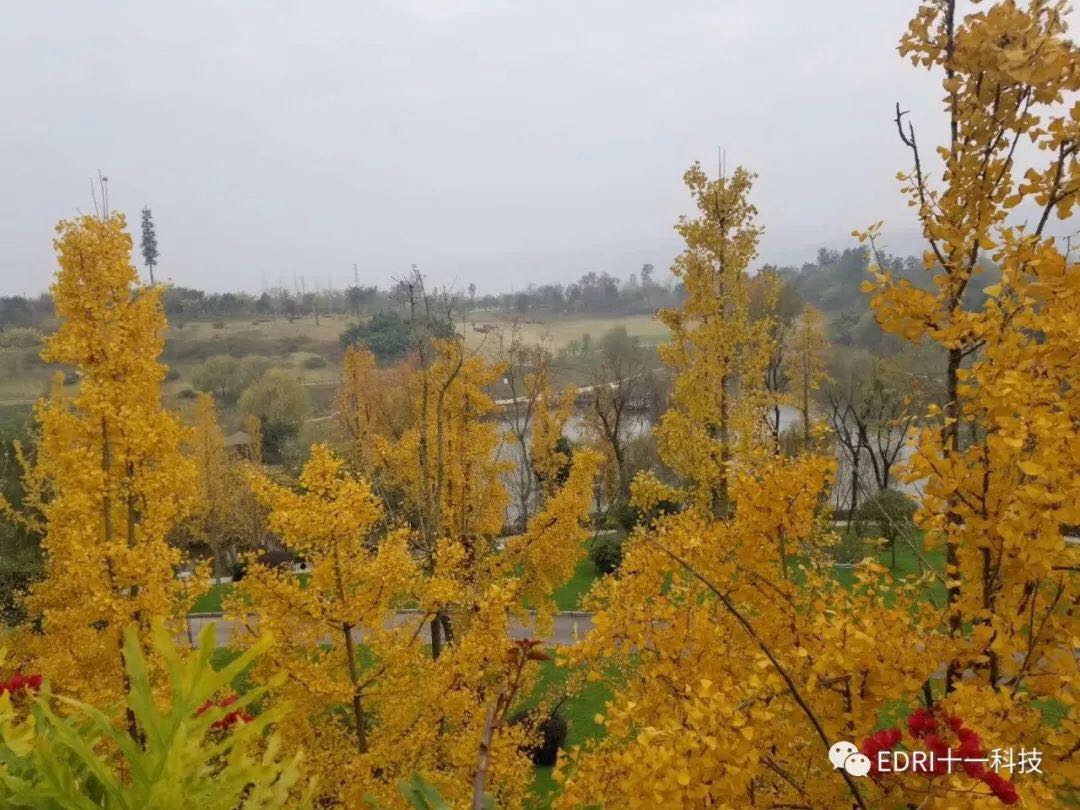 1543821240468431.jpg 9.jpg